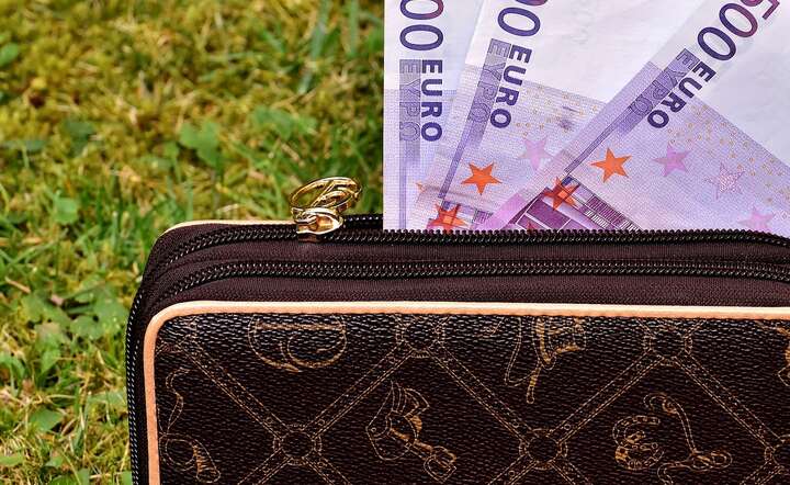 euro/środowisko / autor: Pixabay