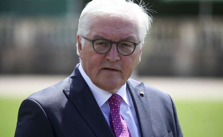 Prezydent Steinmeier pogratulował polskim władzom skutecznej strategii ws. ograniczenia epidemii / autor: Pixabay
