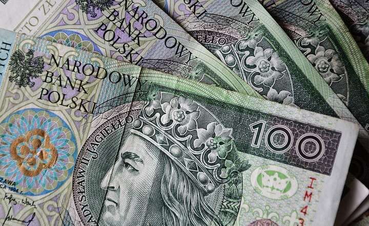 Banknoty / autor: Pixabay