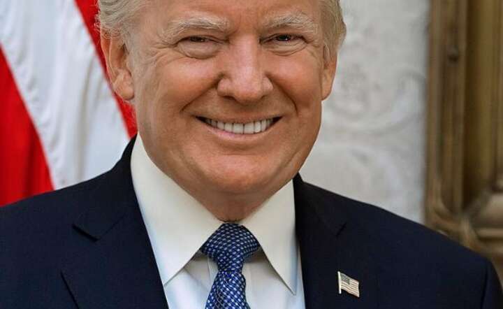 Donald Trump / autor: Pixabay