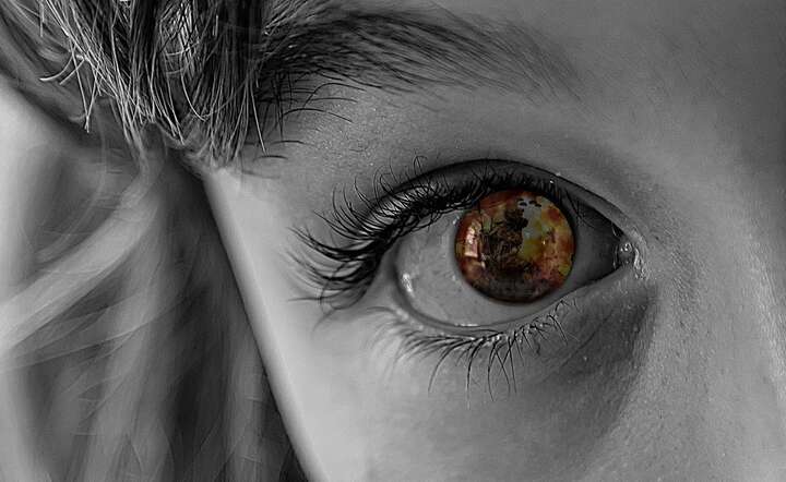 fot. Pixabay / autor: fot. Pixabay