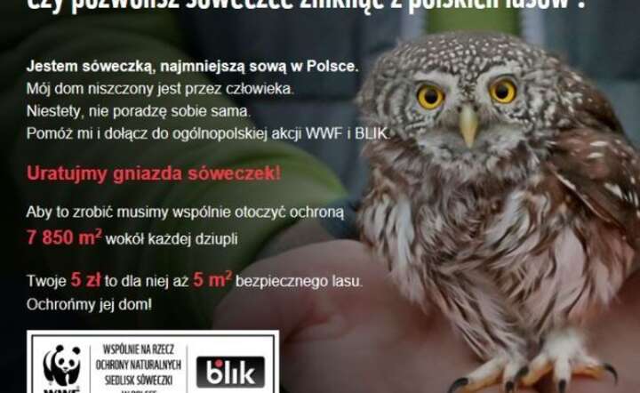Projekt BLIK i WWF / autor: BLIK