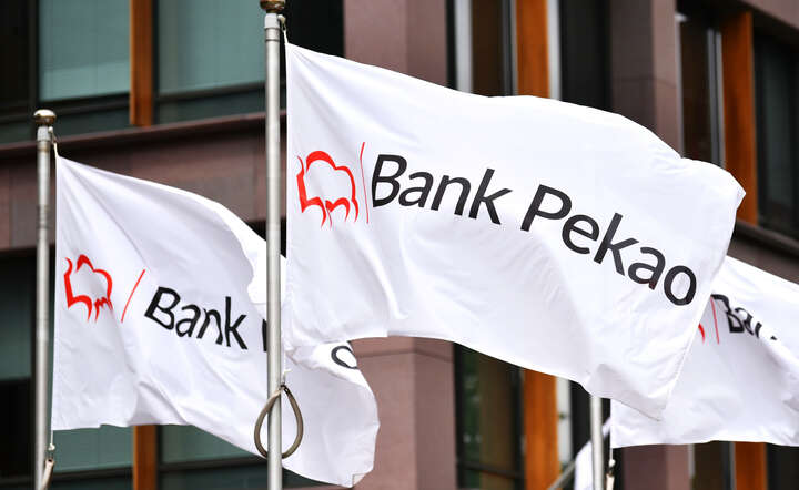 Trzeci kwartał był udany w bankowości detalicznej Pekao / autor: Pekao