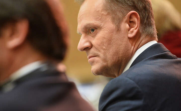 Donald Tusk / autor: flickr