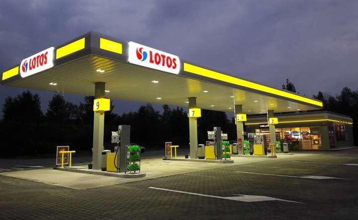 Lotos / autor: Lotos