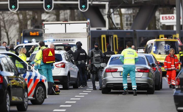 autor: PAP/EPA/ROBIN VAN LONKHUIJSEN