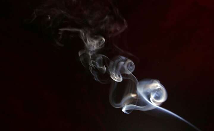 www.sxc.hu