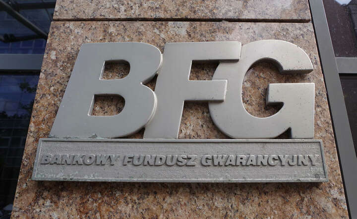 BFG / autor: Fratria