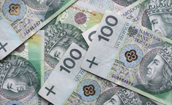 Deficyt wyniesie między 10 a 14 mld zł / autor: Fratria