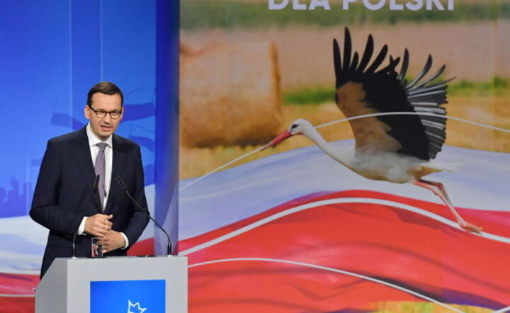 Prezes Rady Ministrów Mateusz Morawiecki podczas konwencji wyborczej Prawa i Sprawiedliwości, 9 bm. na terenie Targów Kielce / autor: PAP/Piotr Polak