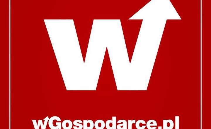 wGospodarce.pl / autor: Fratria