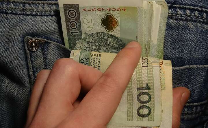 banknoty/złote / autor: Pixabay