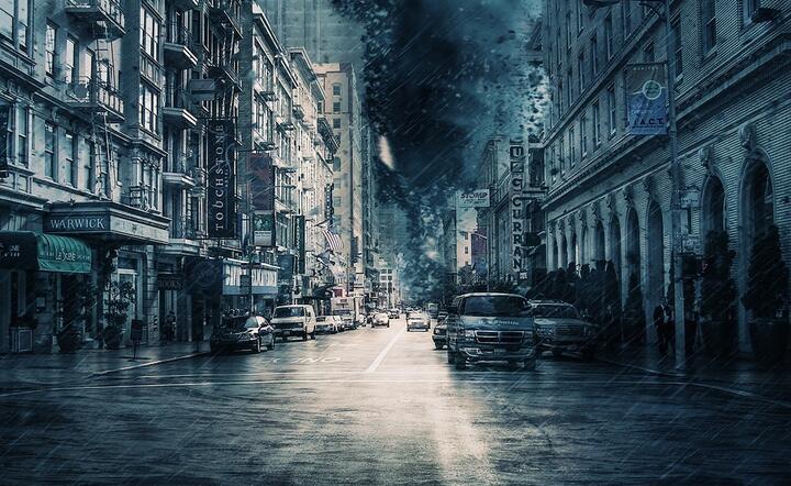 fot. Pixabay / autor: fot. Pixabay