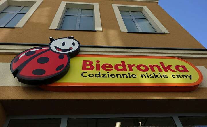 Biedronka / autor: Fratria