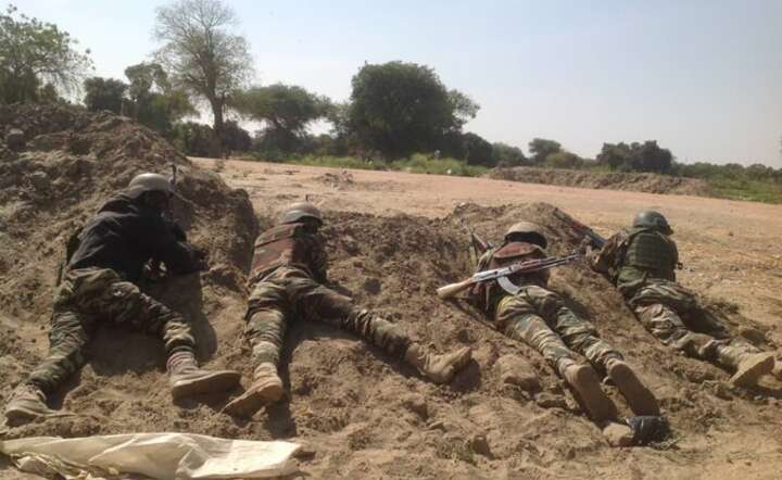 Niger / autor: twitter.com/cwjroberts