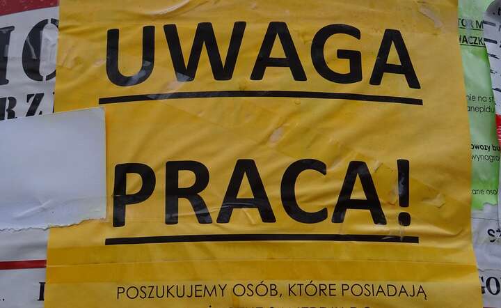 autor: fot. Fratria / MK
