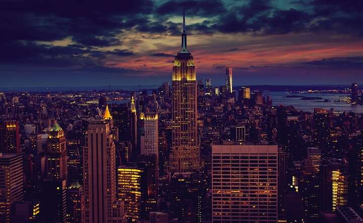 fot. Pixabay / autor: fot. Pixabay