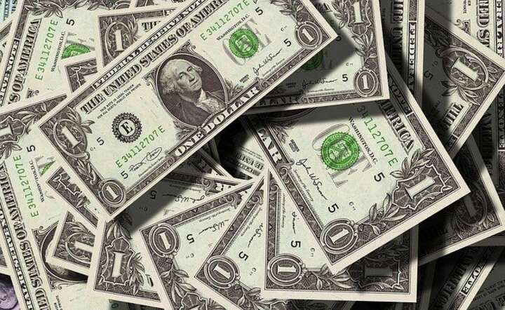 Dolar USD / autor: Pixabay