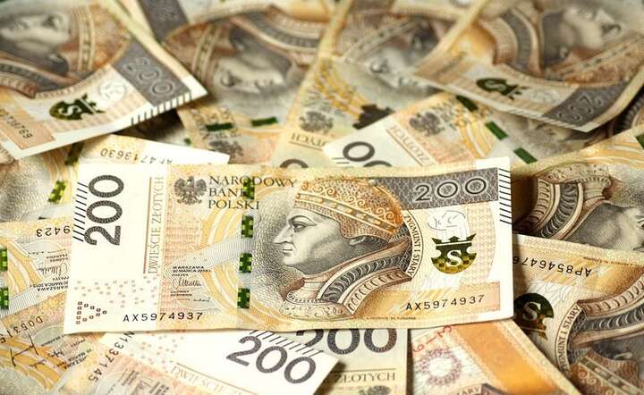 Banknoty / autor: Pixabay