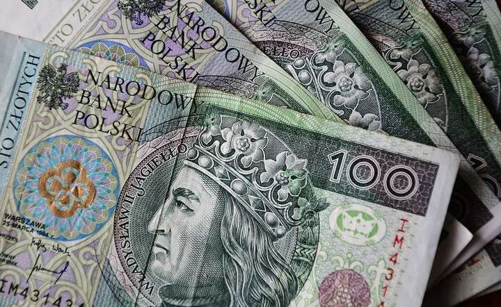 Banknoty / autor: Pixabay