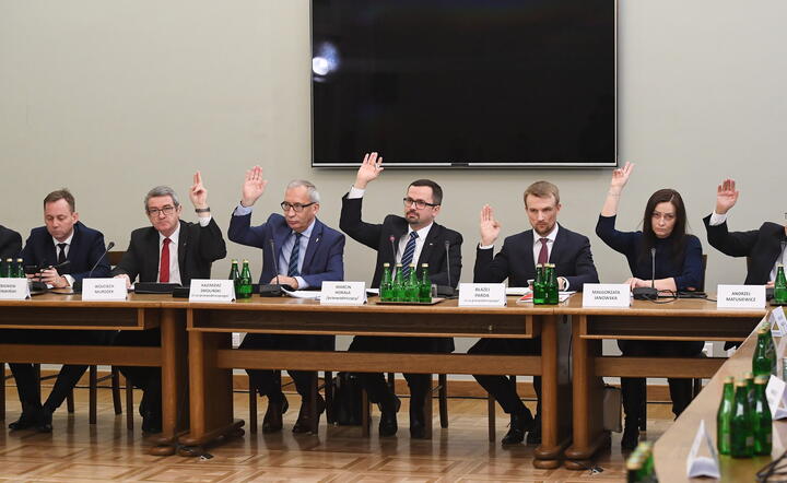 autor: fot. PAP/Radek Pietruszka
