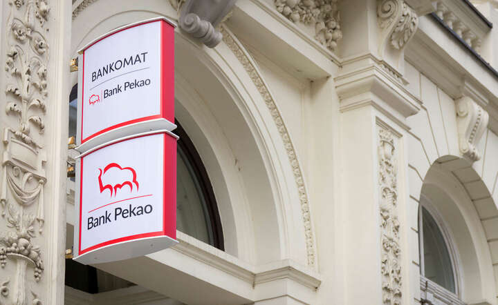 Wartość nowego finansowania dla klientów Pionu MŚP sięgnęła 2,8 mld zł / autor: Fratria