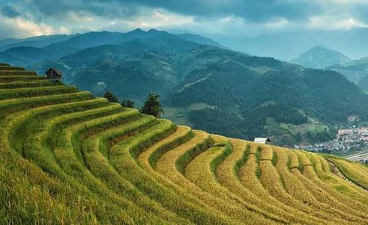 Chiny też już stawiają na ekologię / autor: Pixabay