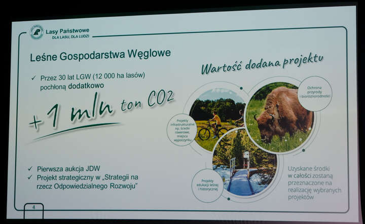 Leśne Gospodarstwa Węglowe to forma wykorzystania naturalnego zasobu leśnego kraju do walki ze zmianami klimatycznymi / autor: fot. materiały prasowe Energa
