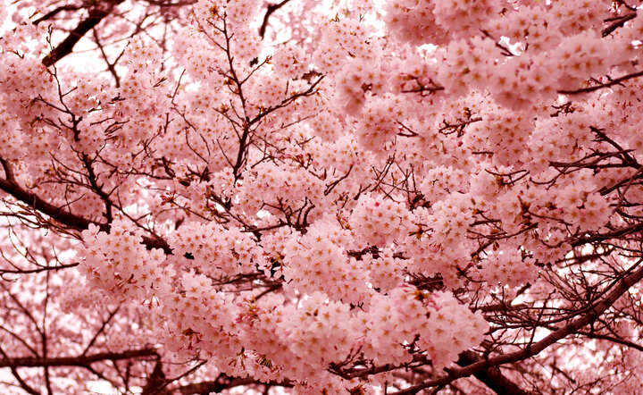 autor: www.sxc.hu