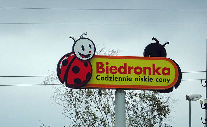 Biedronka / autor: Fratria