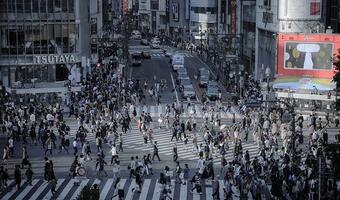 Czy grozi nam ta japońska choroba? Hikkimoryzm truje rynek pracy