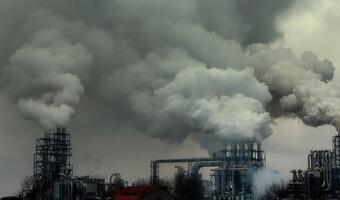 Każdego roku umiera 45 tys. Polaków z powodu zanieczyszczonego powietrza
