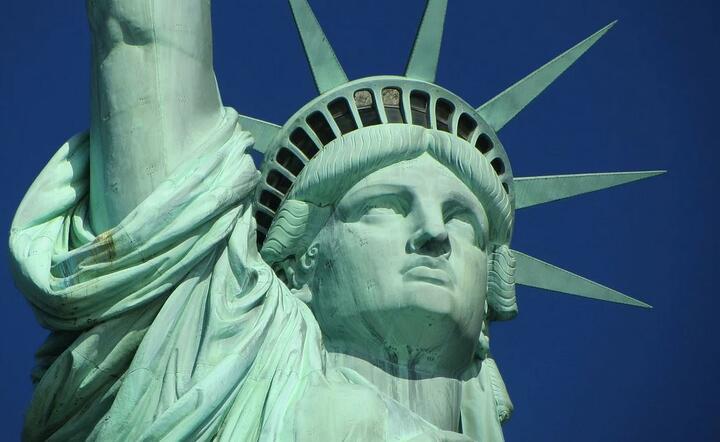 USA, Statua Wolności  / autor: Pixabay