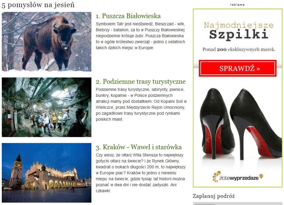 Strona www.polska.pl. Promocja kraju czy szpilek? Fot. polska.pl