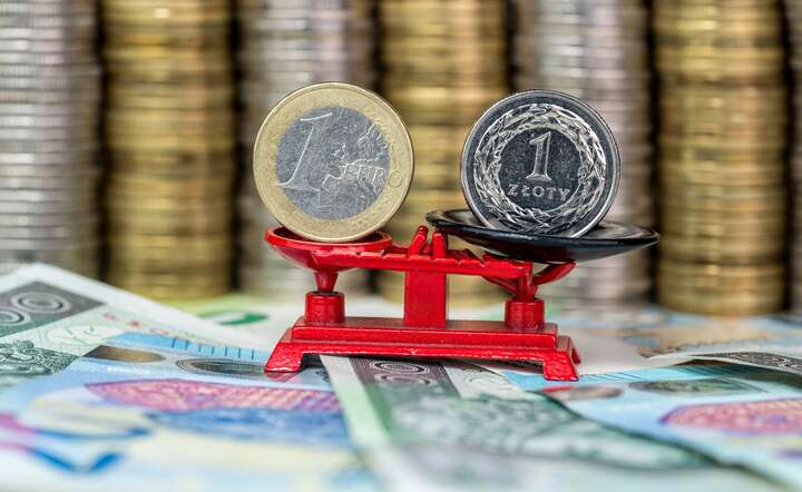 Euro czy złoty? Co będzie polską walutą? / autor: Andrzej Skwarczyński/Fratria