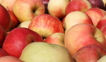 Polskie jabłka ruszą na podbój Chin i ZEA