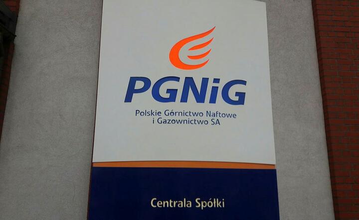 Logo PGNiG / autor: PGNiG