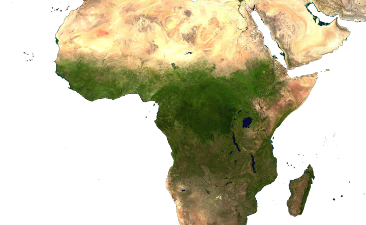 Władyczak: Afryka najbardziej zagrożona niewypłacalnością