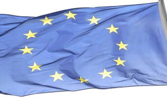 Rząd strefy euro. Pomysł francuskiego prezydenta na zacieśnienie unii gospodarczej i walutowej