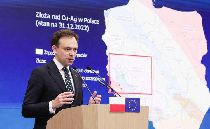 Minister finansów Andrzej Domański podczas konferencji prasowej w Ministerstwie Finansów w Warszawie / autor: PAP/Tomasz Gzell
