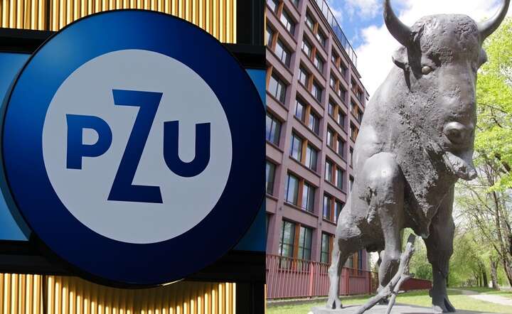 PZU i Bank Pekao podpisały memorandum o transakcji połączenia / autor: Fratria / KK x 2