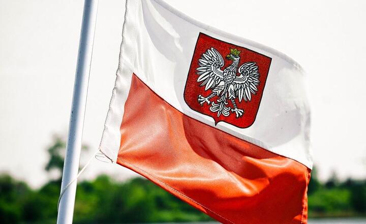 Polska bandera / autor: Pixabay
