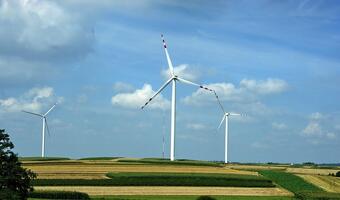 BOŚ dokona odpisów na kredyty finansujące farmy wiatrowe