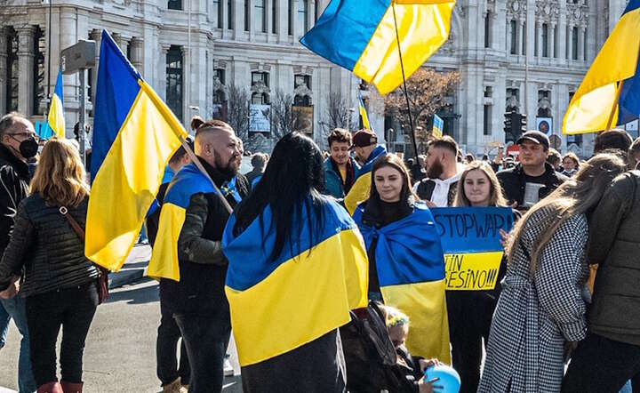 Ukraina / autor: Pixabay