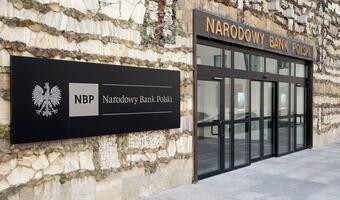 NBP: Sektor bankowy z potężnym spadkiem zysków