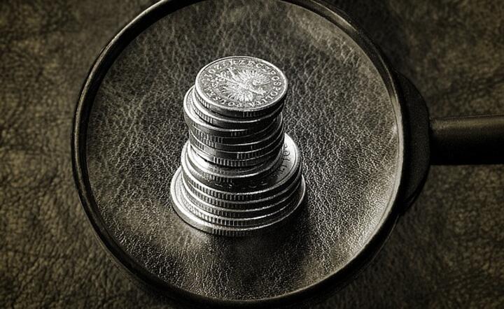 Koronakryzys i pieniądze pod lupą / autor: Pixabay