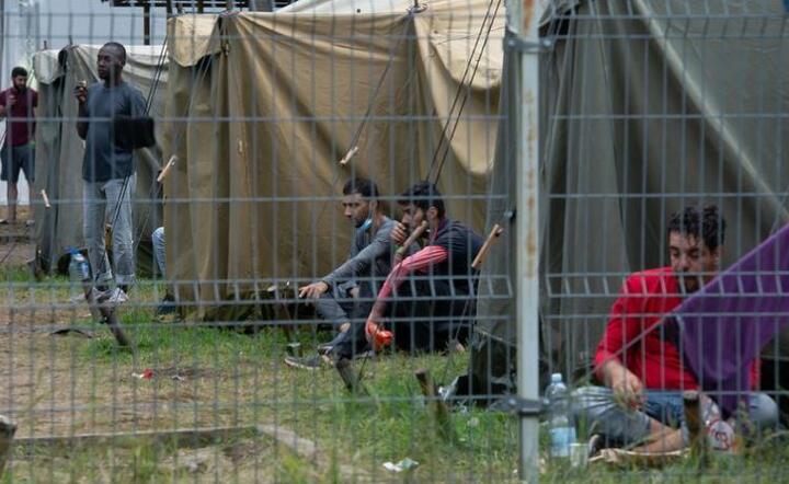 Obóz dla nielegalnych imigrantów  / autor: PAP/Valdemar Doveiko 