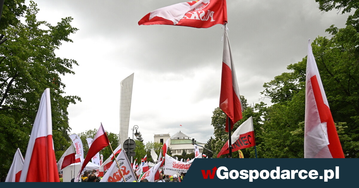 Referendum W Sprawie Zielonego Adu S Podpisy Wgospodarce Pl