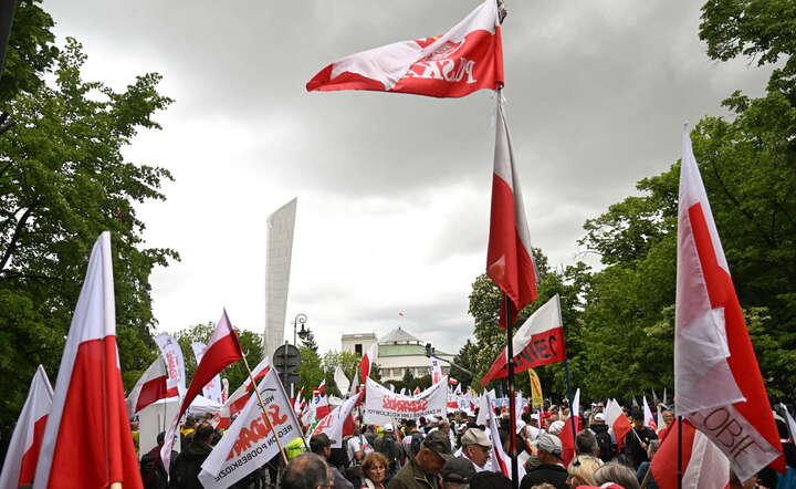 Demonstranci po południu dotarli przed gmach Sejmu / autor: PAP/Radek Pietruszka