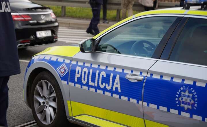 Policja rozbiła kolejny gang złodziei samochodów / autor: Fratria / MK